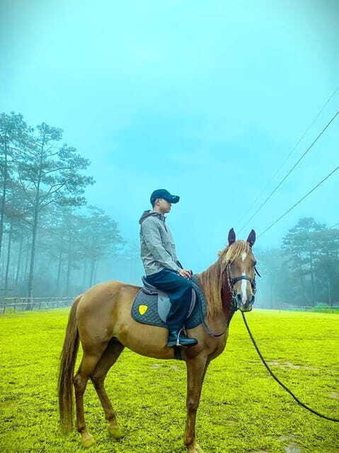 Horse Riding Course in Mang Den with Pickup and Drinks - Who Should Consider This Tour?