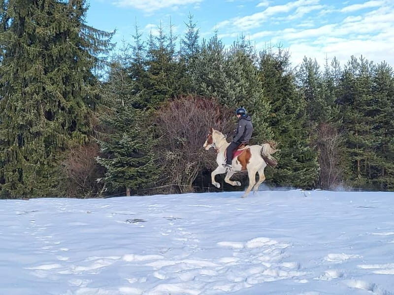 Horse Riding Day Trip in the Rila Mountain - Horse Riding Day Trip in the Rila Mountain