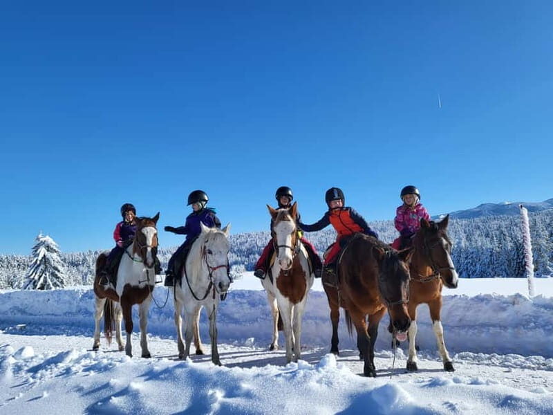 Horse Riding Day Trip in the Rila Mountain - Key Points