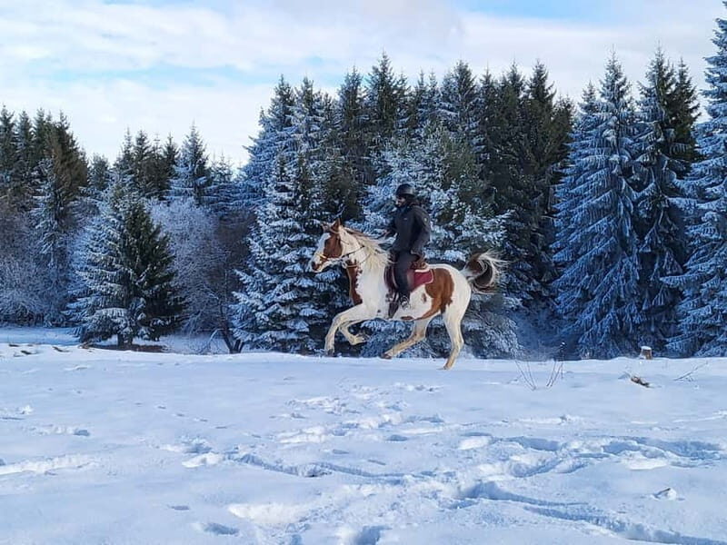 Horse Riding Day Trip in the Rila Mountain - Final Thoughts