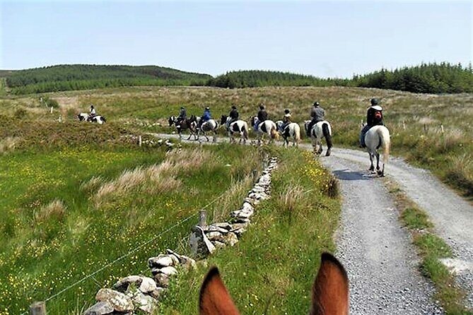 Horse riding - Dirt Trek Trail. Lisdoonvarna, Clare. Guided. 1 hour. - FAQ