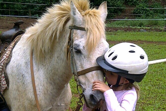 Horse riding excursion - The Sum Up