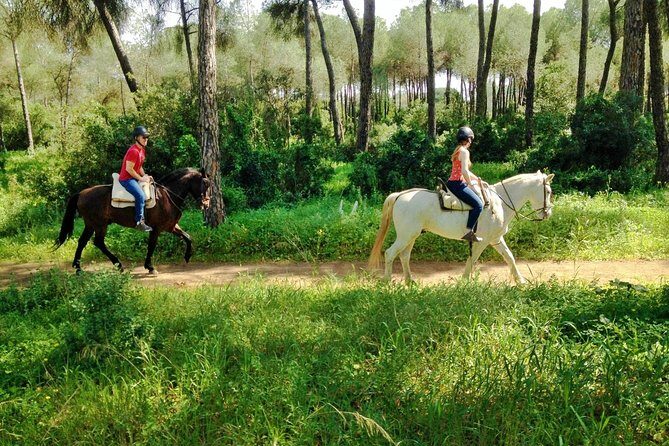 Horse Riding Excursion from Seville - Discovering the Heart of Andalucia on Horseback
