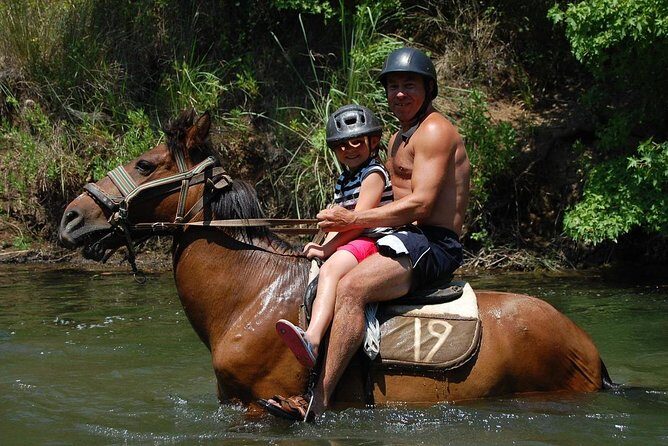 Horse Riding Experience in Marmaris with Transfer - An In-Depth Look at the Horse Riding Experience in Marmaris