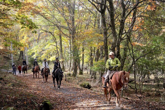 Horse riding Experience in Nature Rich Lake Shirakaba - Quick Overview