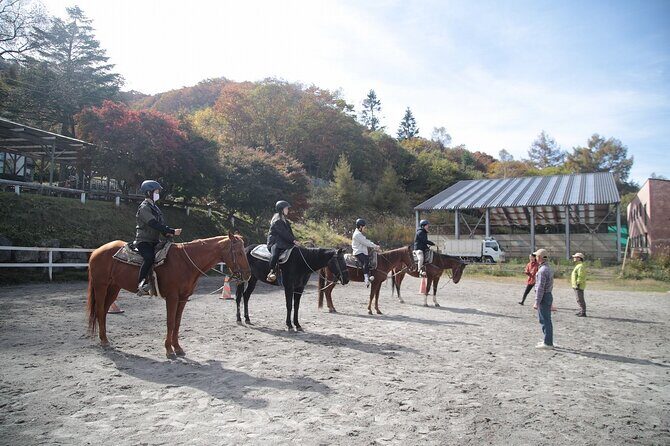 Horse riding Experience in Nature Rich Lake Shirakaba - Key Points
