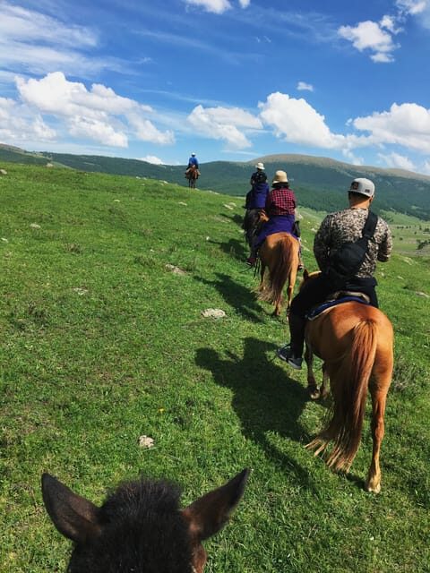 Horse riding experience in Terelj National park 1 day - Who Should Consider This Tour?