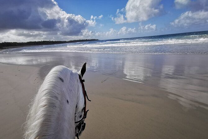 Horse Riding Experience through El Limon Beach - A Detailed Look at the Experience