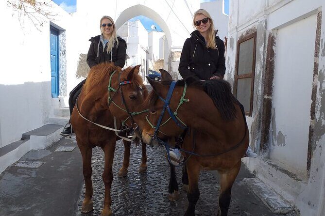 Horse Riding--Explore secret Thera - A Detailed Look at the Santorini Horseback Tour