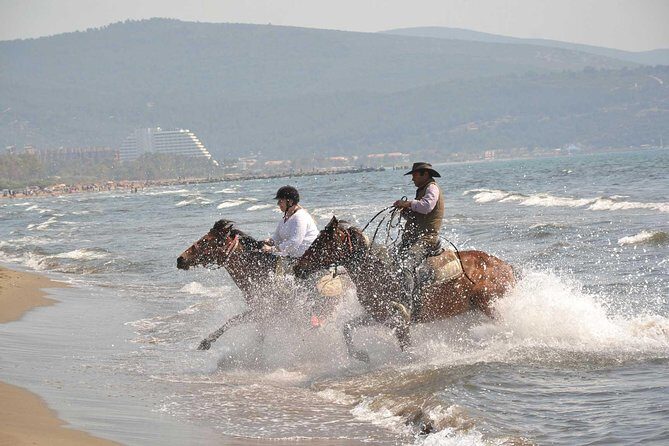 Horse Riding From Kusadasi Port / Hotels - An In-depth Look at the Experience: What to Expect