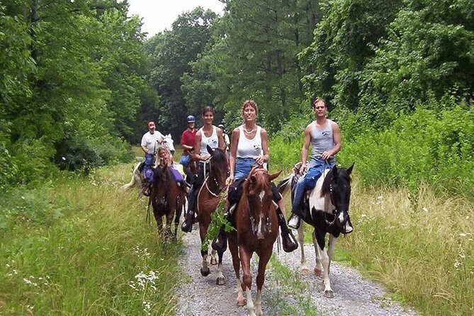 Horse Riding From Kusadasi Port / Hotels - Pricing and Value