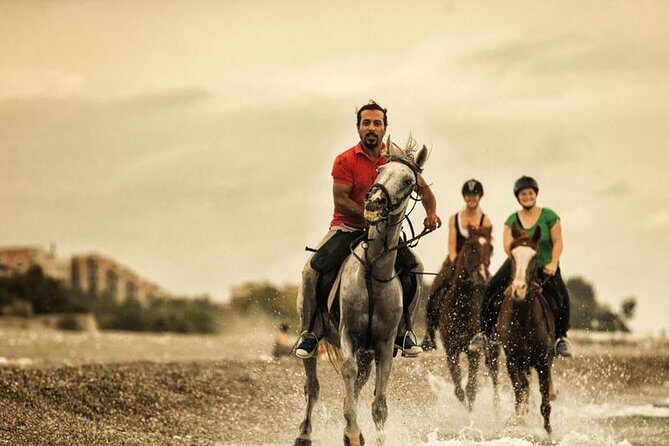 Horse Riding From Kusadasi Port / Hotels - Final Thoughts