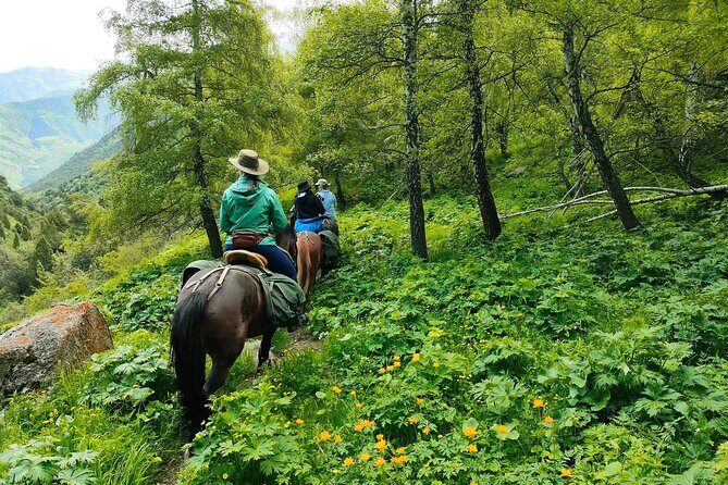 Horse Riding in Ala Archa National Park - Key Points