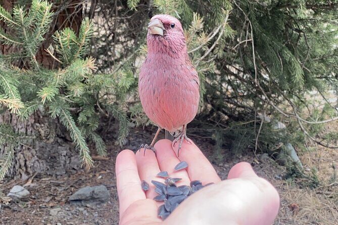 Horse Riding in Ala Archa National Park - Final Thoughts