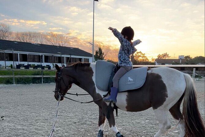 Horse Riding in Aveiro - Ílhavo - An In-Depth Look at Horse Riding in Aveiro - Ílhavo