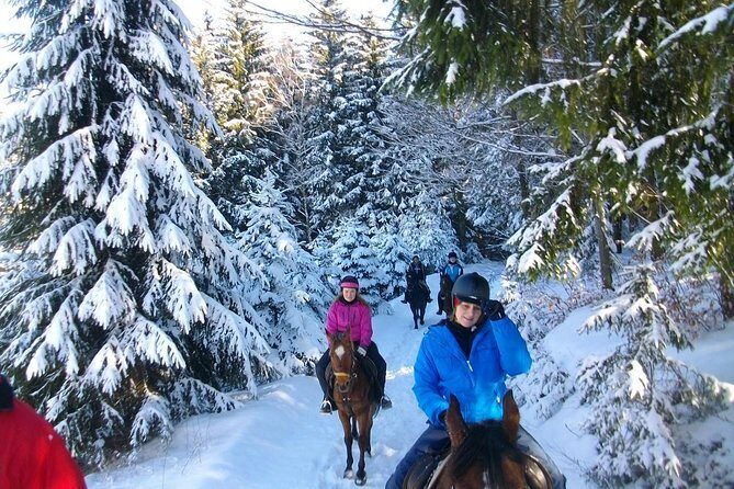 Horse Riding in Bled - A Detailed Look at the Horse Riding Tour in Bled