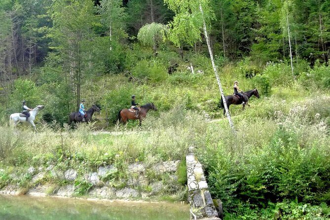 Horse Riding in Bled - Why This Tour Offers Good Value