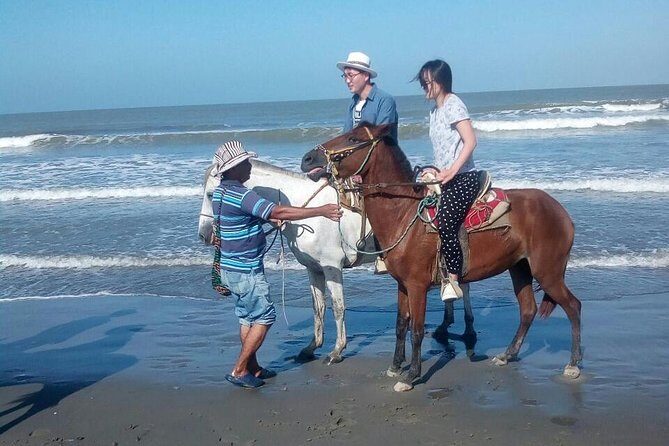 Horse Riding in Cartagena - Key Points