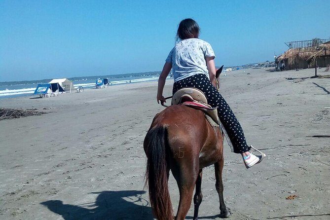 Horse Riding in Cartagena - In-Depth Review of the Horseback Riding Tour in Cartagena