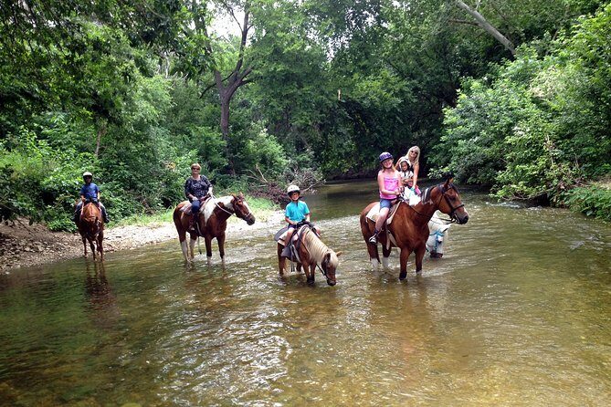 Horse Riding in Fethiye - Analyzing the Value