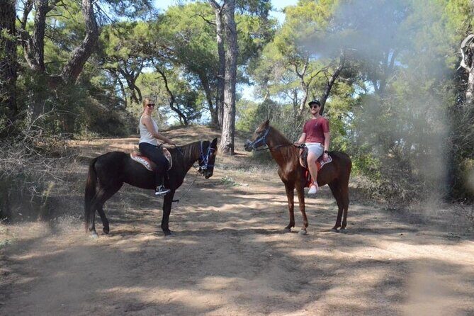 Horse Riding in Manavgat Side Forest and Beach - Key Points