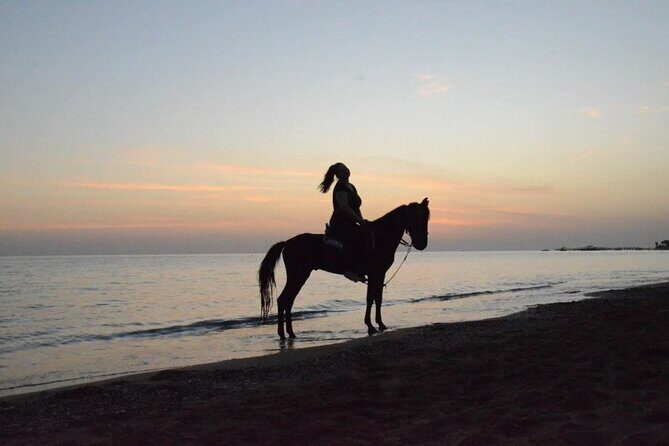 Horse Riding in Manavgat Side Forest and Beach - The Sum Up