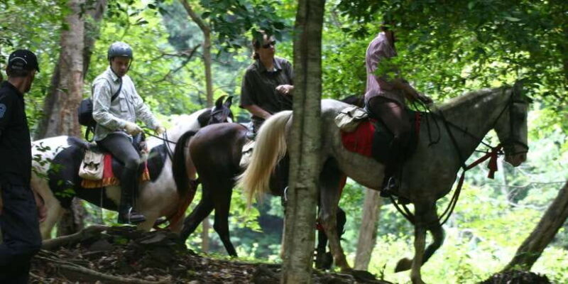 Horse Riding in Nuwara Eliya - An In-Depth Look at the Horse Riding Experience in Nuwara Eliya