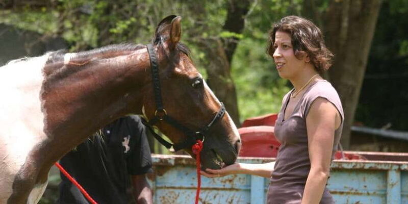 Horse Riding in Nuwara Eliya - Final Thoughts: Is It Worth It?