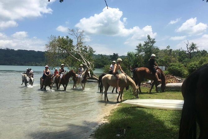 Horse Riding in Port Vila with Yumi Tours - Authentic Reviews from Past Participants