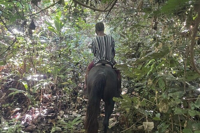 Horse Riding in Port Vila with Yumi Tours - Practical Tips for Booking and Enjoying the Ride