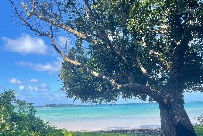 Horse Riding in Port Vila with Yumi Tours - FAQ