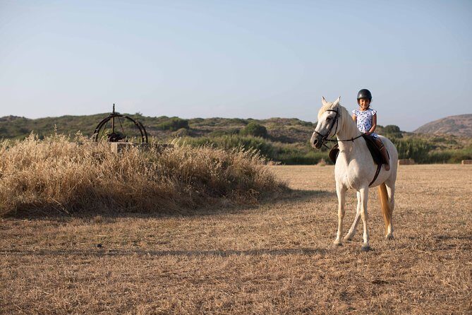 Horse Riding in Portugal - Picadero Kids - Exploring Horse Riding in Portugal - Picadero Kids: An Authentic Family Adventure in Algarve