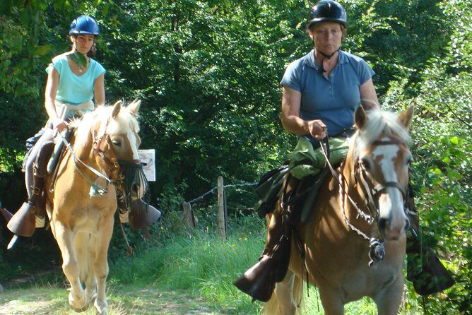 Horse riding in the French countryside - Exploring the Experience in Detail