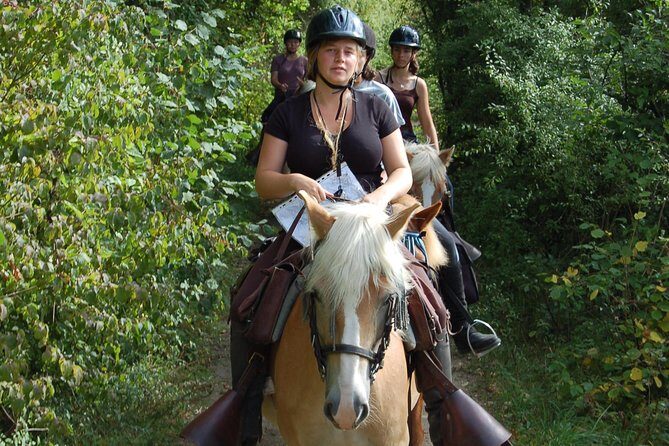 Horse riding in the French countryside - Practical Tips for Travelers