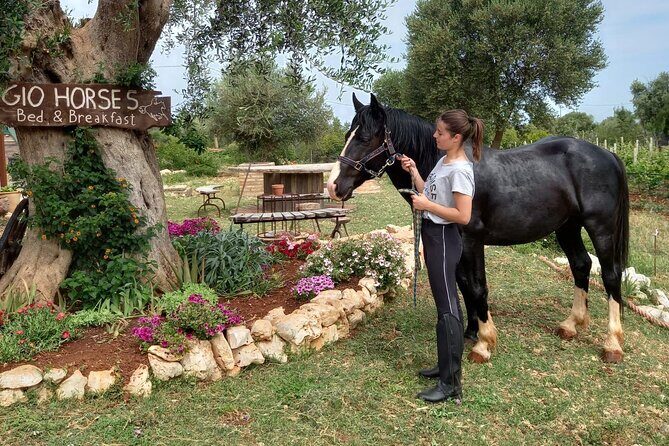 Horse riding in the Gargano National Park - Key Points
