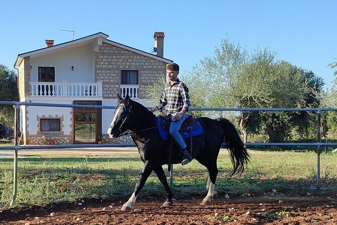 Horse riding in the Gargano National Park - FAQs
