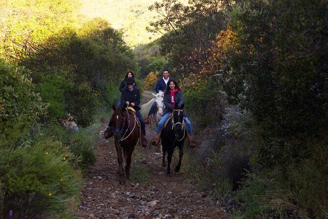 Horse Riding in the Mountain - Horse Riding in the Mountain: A Balanced Look at a Scenic Ensenada Adventure