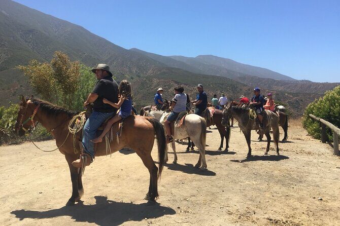 Horse Riding in the Mountain - Final Thoughts: Is It Worth It?