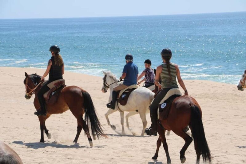 Horse riding in the Valley, near Lisbon, brunch and winnery - Key Points