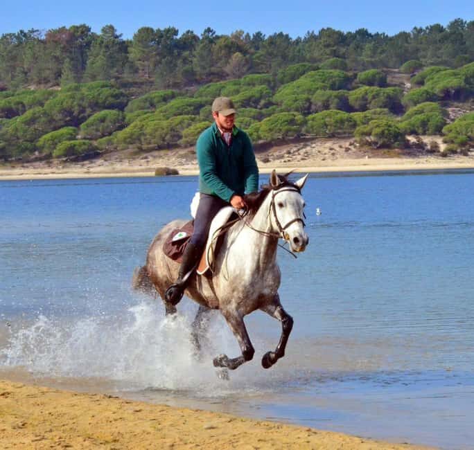 Horse riding in the Valley, near Lisbon, brunch and winnery - Exploring the Tour Itinerary