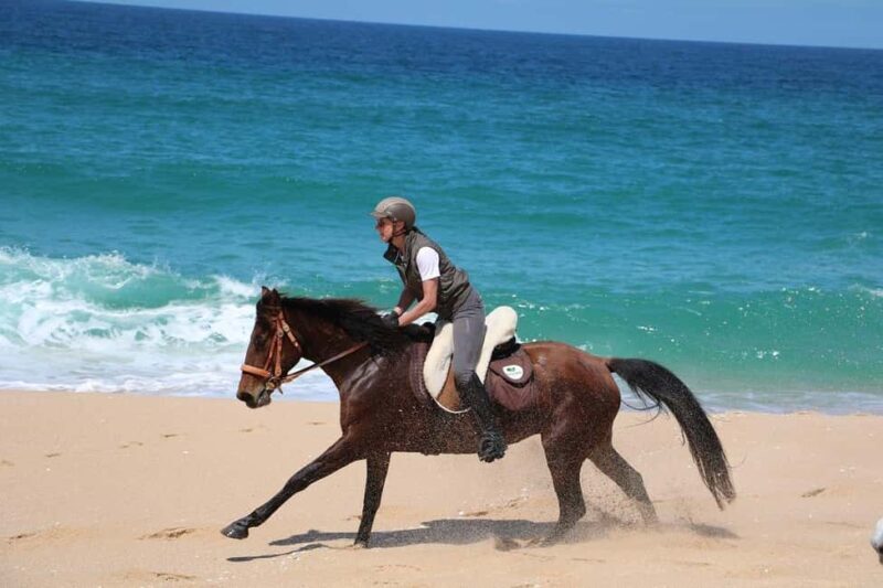 Horse riding in the Valley, near Lisbon, brunch and winnery - FAQs