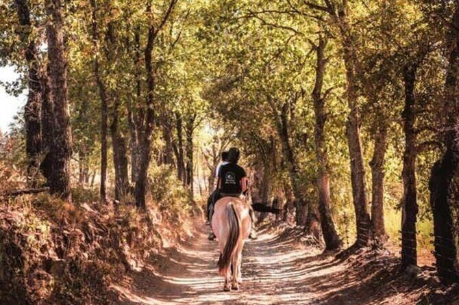 Horse riding in the vineyards of Grimaud + wine tasting - FAQ