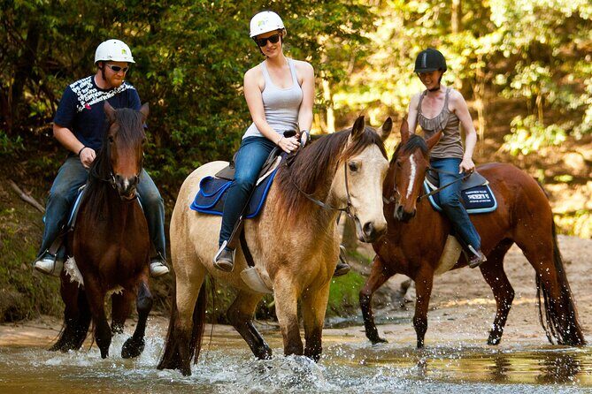 Horse Riding, Koalas & Kangaroos - Wild Australia: Private Tour - Exploring the Best of Australia’s Wilderness in a Single Day
