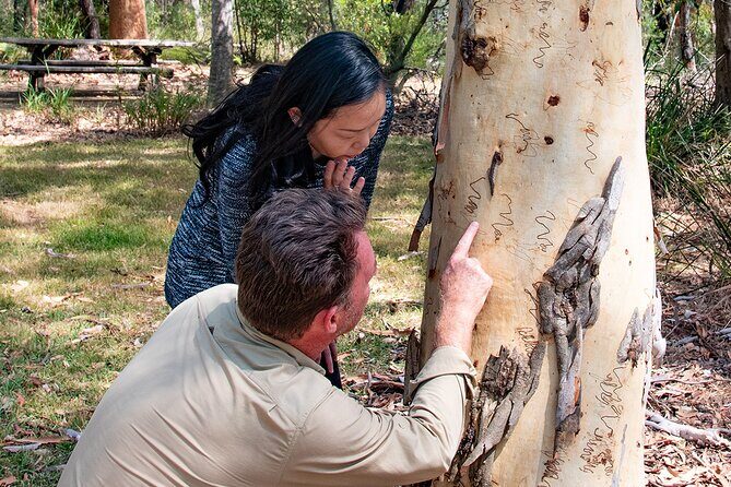Horse Riding, Koalas & Kangaroos - Wild Australia: Private Tour - Who Is This Tour Best Suited For?