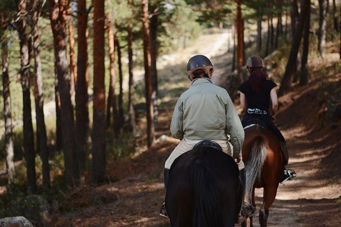 Horse Riding Madrid Natural Park - In-Depth Review: What You Can Expect from the Horse Riding Madrid Natural Park Tour