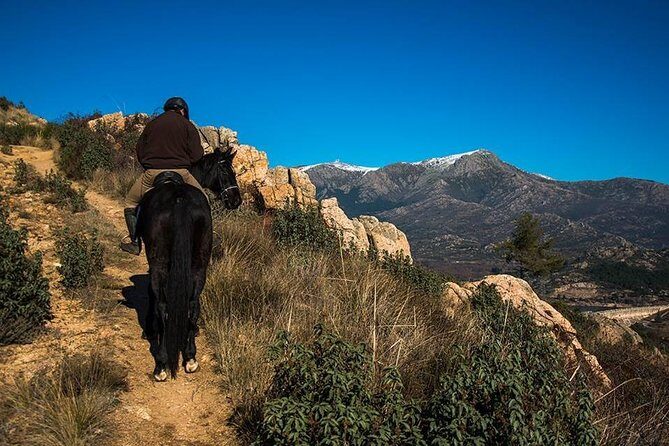 Horse Riding Madrid Natural Park - Frequently Asked Questions
