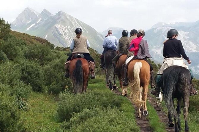 Horse Riding Madrid Natural Park (long Trip) - Horse Riding Madrid Natural Park (Long Trip) – An Authentic Escape from Madrid