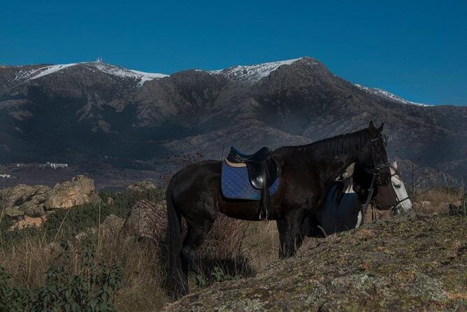 Horse Riding Madrid Natural Park (long Trip) - Key Points