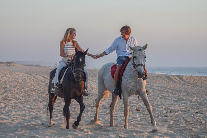 Horse Riding on Melides Beach - Who Should Consider This Tour?