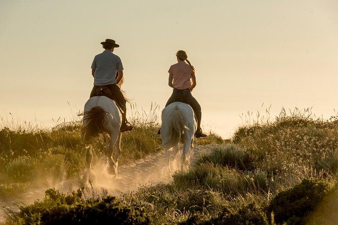 Horse Riding on the Beach - Horse Riding on the Beach: A Unique Portuguese Adventure